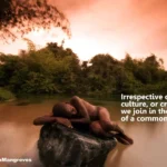 The Challenges Facing Our Mangroves